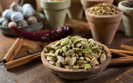 Everything You Need to Know About Cardamom Pods