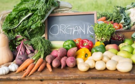 2020 Organic Trends in Farm to Table Food