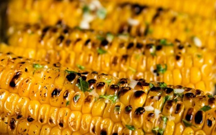 Food World News - Grilled Corn 4th of July