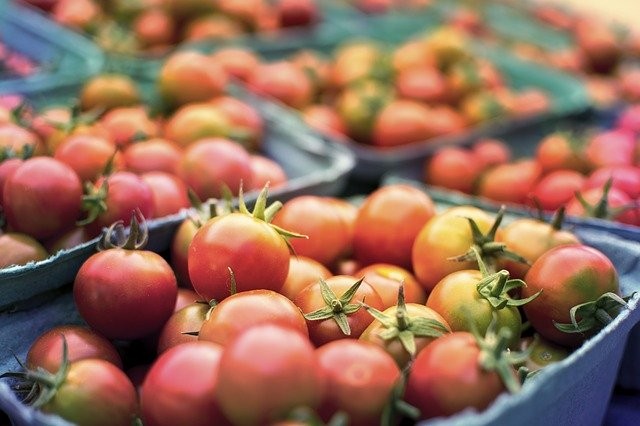 Fresh Farm Tomatoes