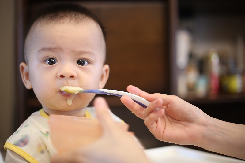 Tips for Making Organic Baby Food Puree | Food World News