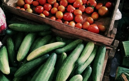 How You Can Sell Your Produce to Local Restaurants