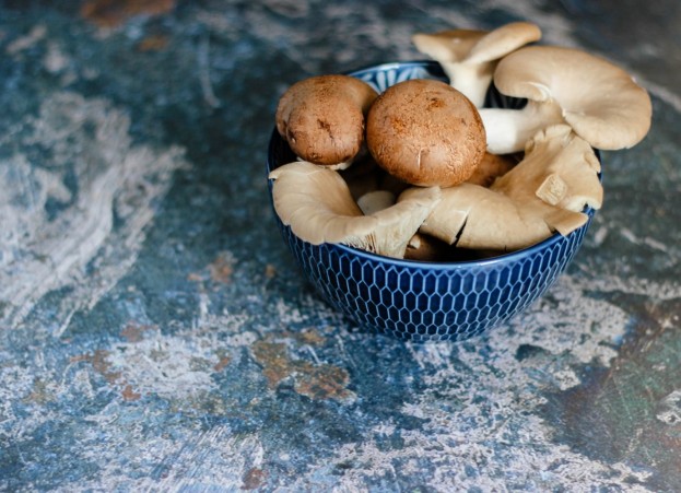 Welcoming 2021 With Mushrooms: Reasons Why It Will Continue To Trend