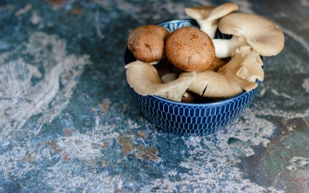 Welcoming 2021 With Mushrooms: Reasons Why It Will Continue To Trend