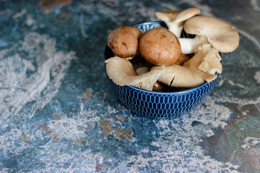 Welcoming 2021 With Mushrooms: Reasons Why It Will Continue To Trend