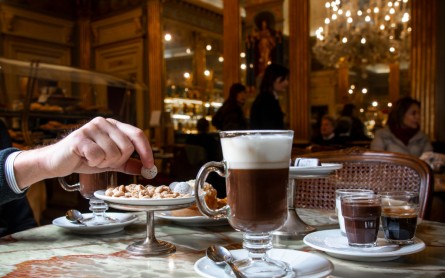 Science Experts Claim That A Cup Of Cocoa Is Good For Your Brain