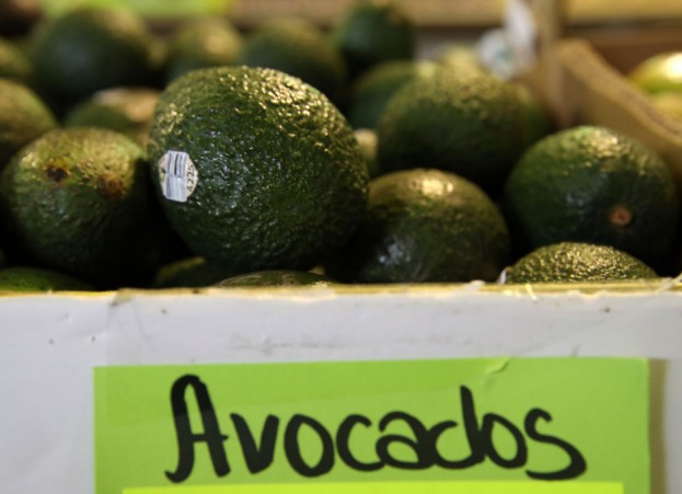 A Healthy Gut Calls for a Daily Dose of Avocado
