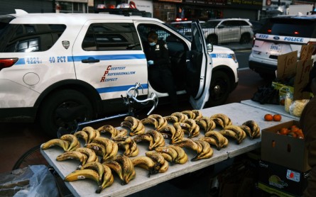Ways How to Keep Your Bananas Fresh
