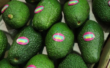Watch Out! Too Much Avocado May Not Be Good For You