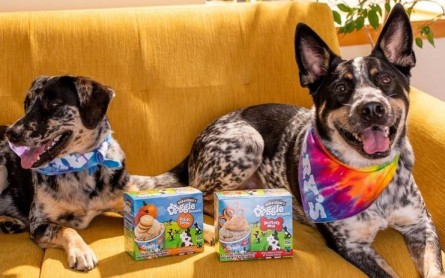 Ben & Jerry's Introduces Pet-friendly Ice Cream Treat For Man's Best Friend