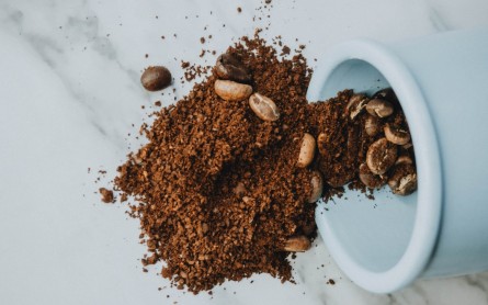 Does coffee contain cockroaches?