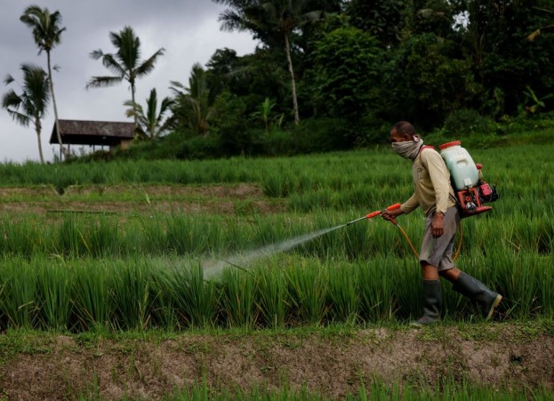 Harmful Pesticides in Food Causes Dramatic Decline in Sperm Count Worldwide