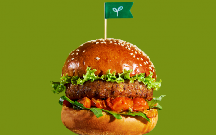 Plant-based Burger