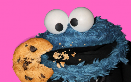 The Cookie Monster and his cookies.