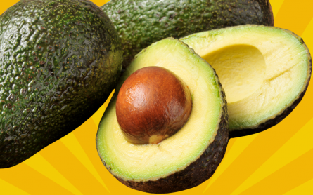 Avocados against a bright yellow background