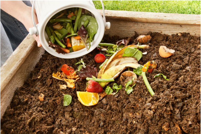 Composting is a great way to repurpose produce waste.