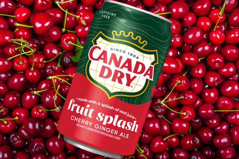 Canada Dry Fruit Splash.