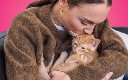 ACANA Pet Food Team Announces Nationwide Kitten-Cuddler Promotion