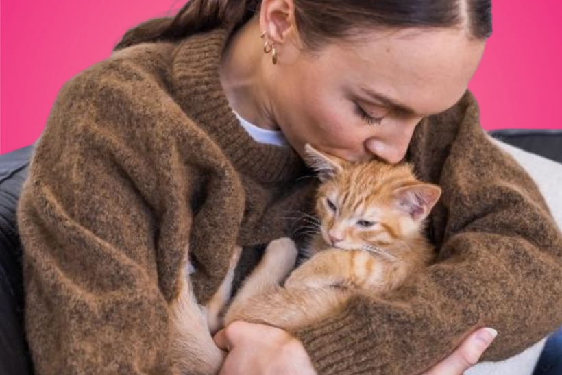 ACANA Pet Food announces a nationwide kitten-cuddler promotion.