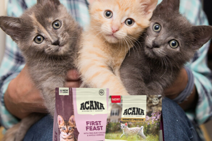 The makers of ACANA pet food are supporting cats and shelters this ‘kitten season’ by increasing adoption awareness of the issue.