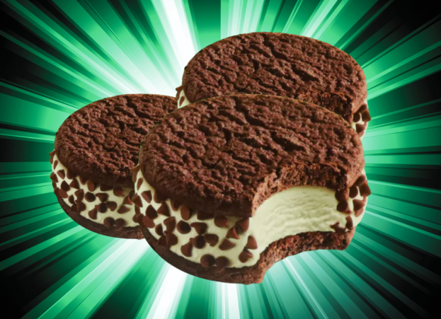 Girl Scout Chipwich