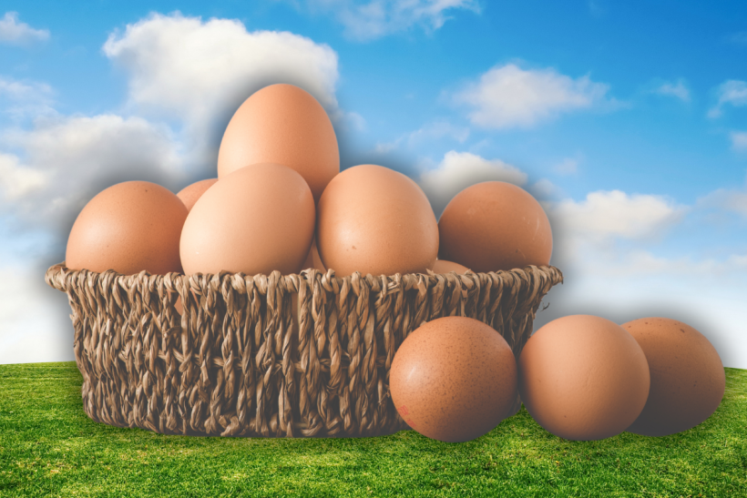 Why are your egg prices spiking?