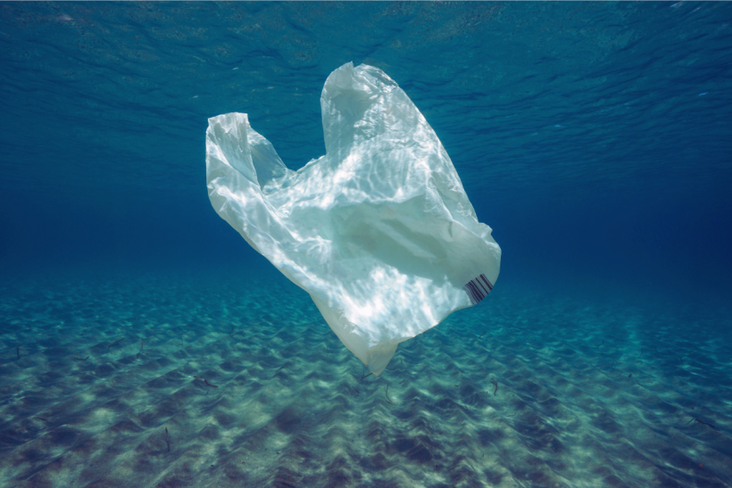 Plastic bag floating in the ocean.