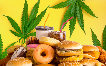 It turns out cannabis users like to eat