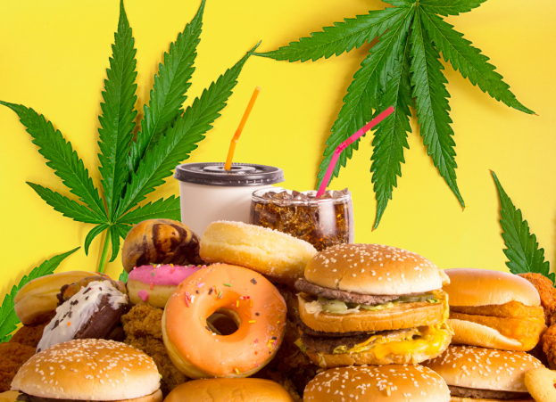 It turns out cannabis users like to eat