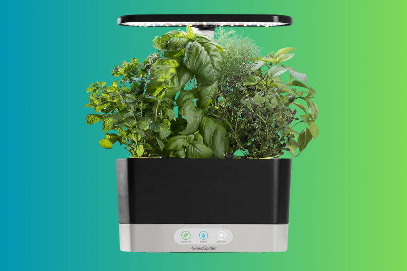 AeroGarden Sprout with Gourmet Herbs Seed Pod Kit.