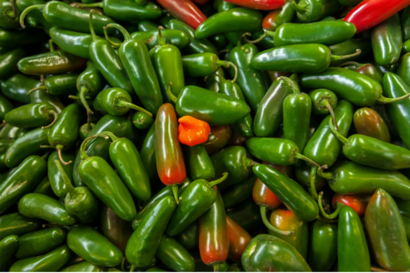 A shortage of red jalapeño peppers is causing a pause in Sriracha production.