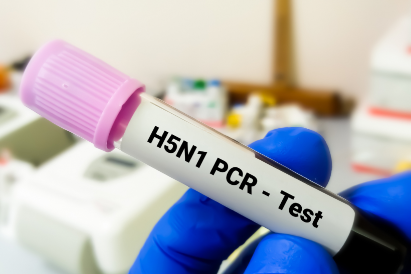 The H5N1 virus is causing concern to food safety officials.
