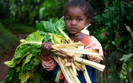 A new UN report reveals 1 in 4 young children are going hungry.