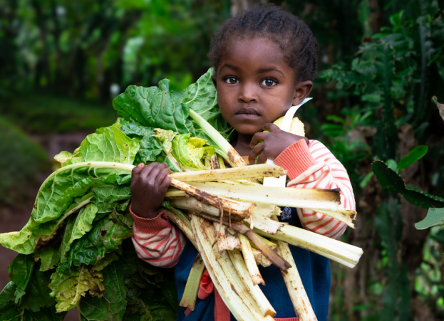 A new UN report reveals 1 in 4 young children are going hungry.