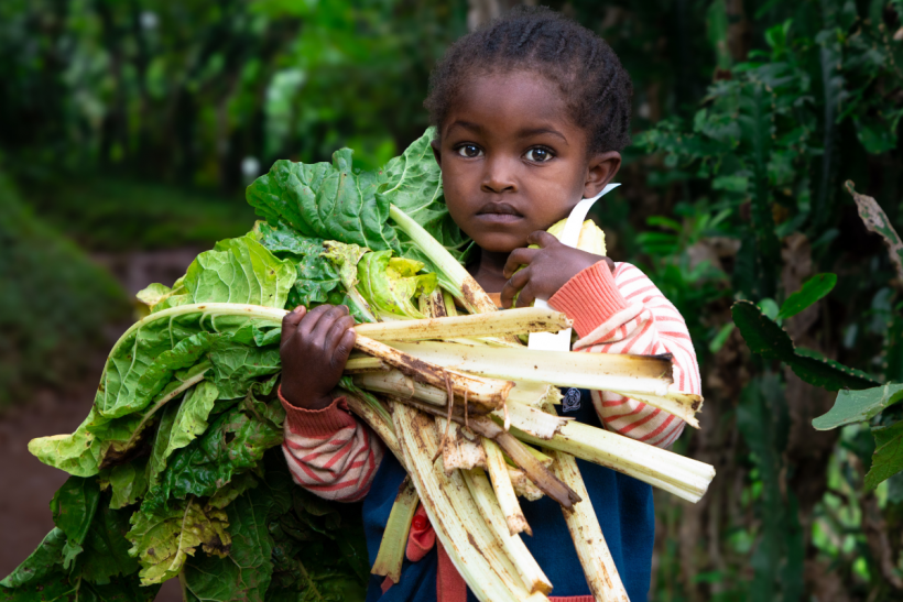 A new UN report reveals 1 in 4 young children are going hungry.