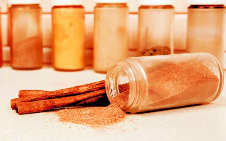 Toxic Lead Levels in Cinnamon Products