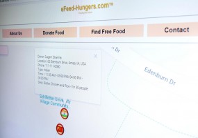Screen Shot of e-Feed-Hungers Site (IMAGE)